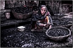 Coal Lady