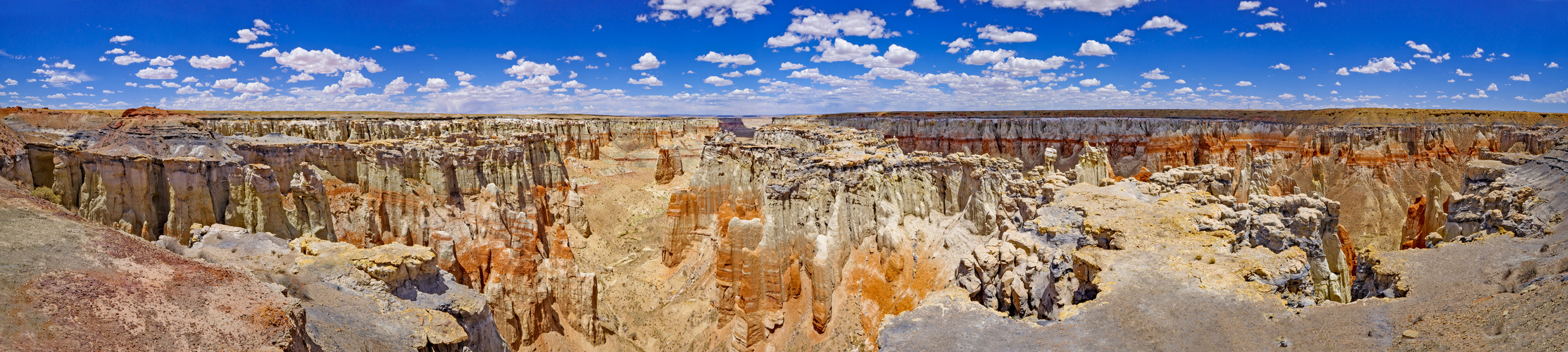 Coal Mine Canyon - das Panorama