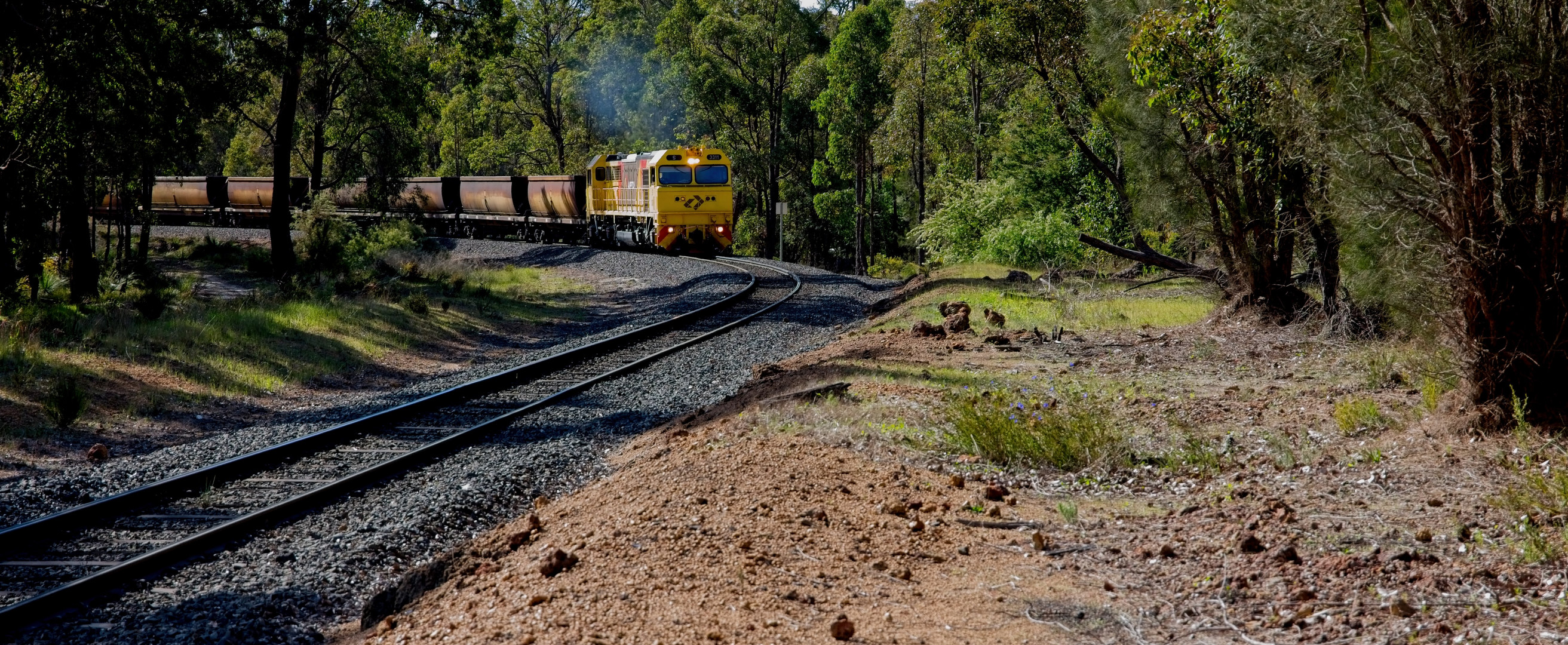 Coal Train Passing Through Collie Town "05"