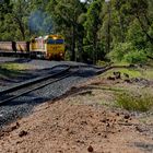 Coal Train Passing Through Collie Town "05"