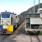 Coal train to the power station