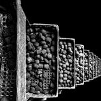 Coal Trek