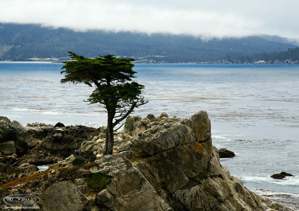 Coast at 17-mile drive II