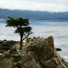 Coast at 17-mile drive II