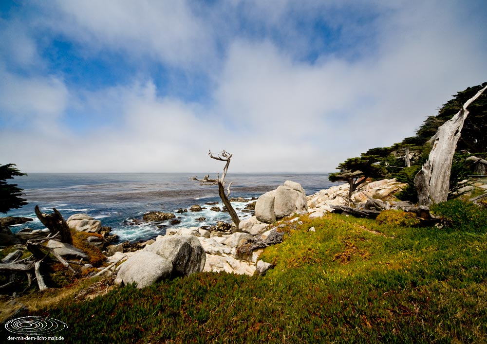 Coast at 17-mile drive III