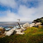 Coast at 17-mile drive III