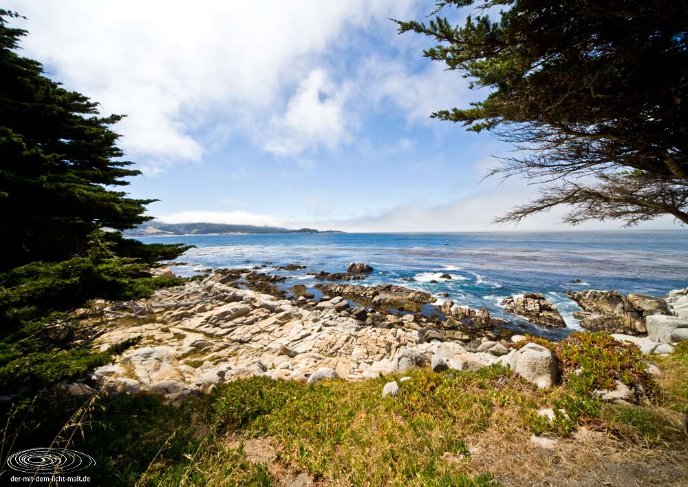 Coast at 17-mile drive IV