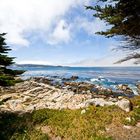 Coast at 17-mile drive IV