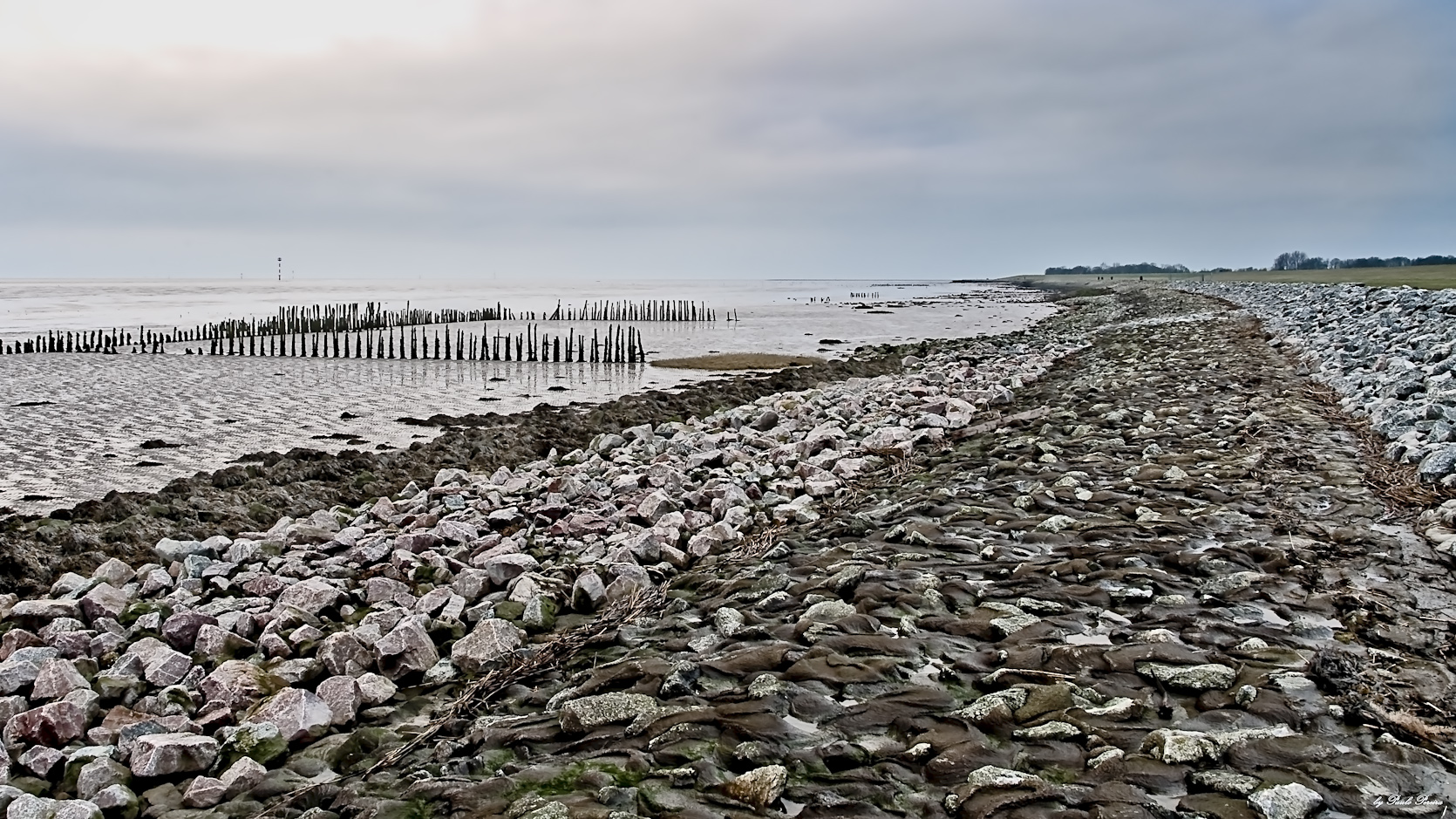 coast line