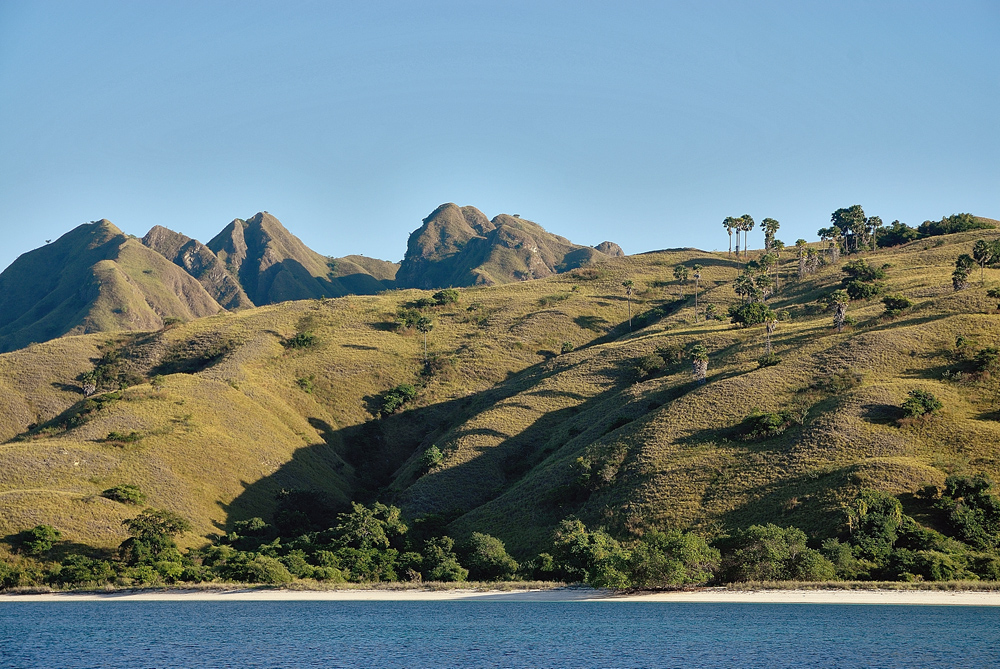 Coast line of Komodo