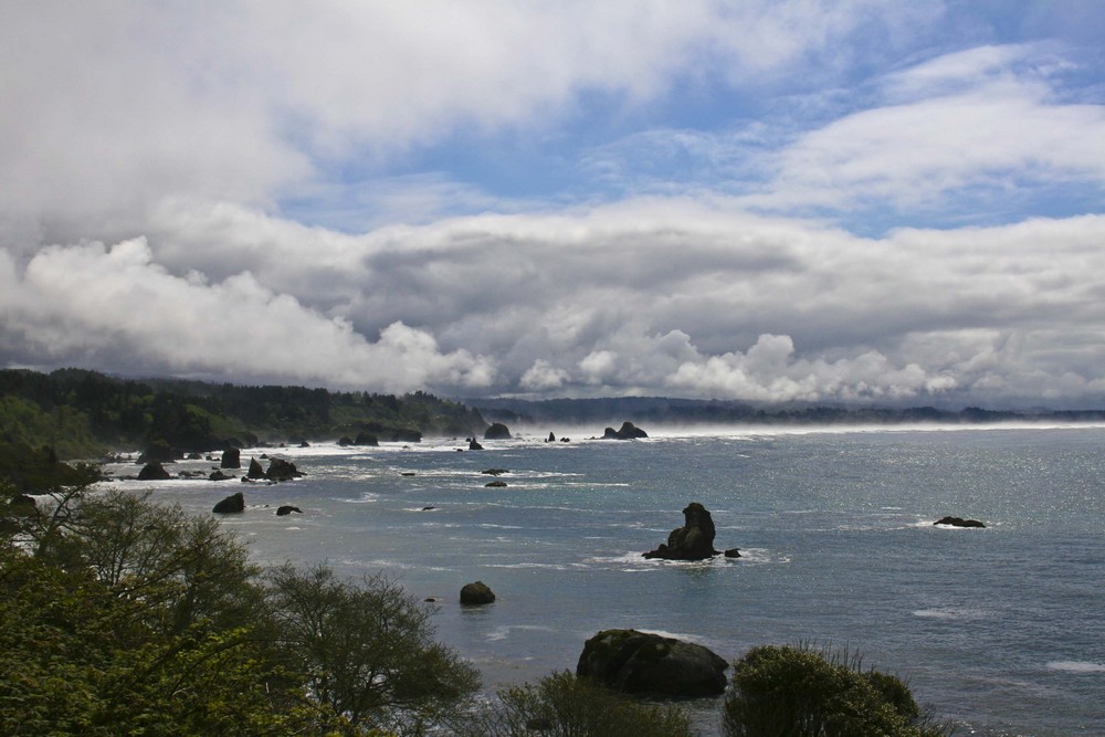 Coast North California