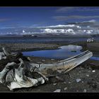 Coast of a whale bone.