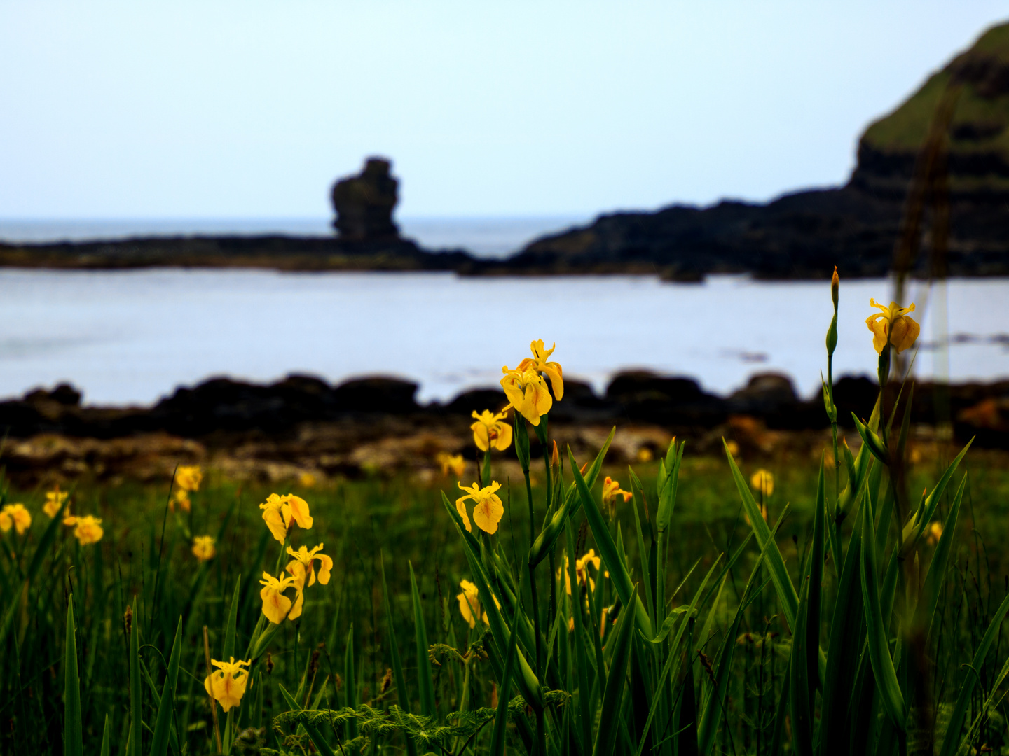 Coast of Antrim