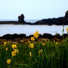 Coast of Antrim