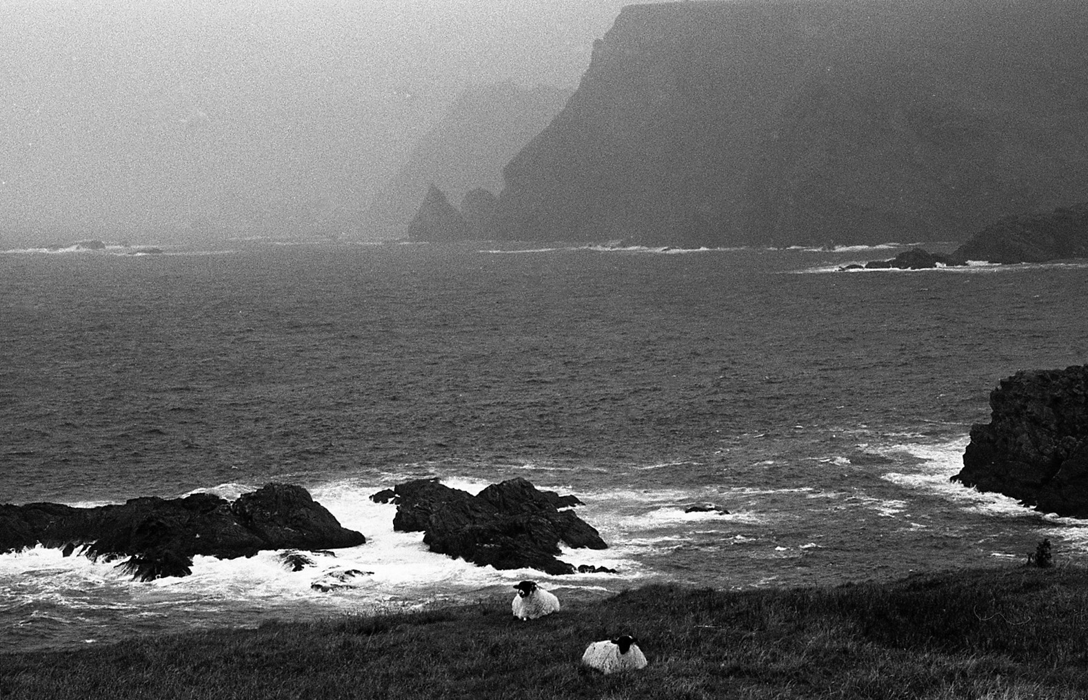 Coast of Co. Donegal