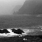 Coast of Co. Donegal