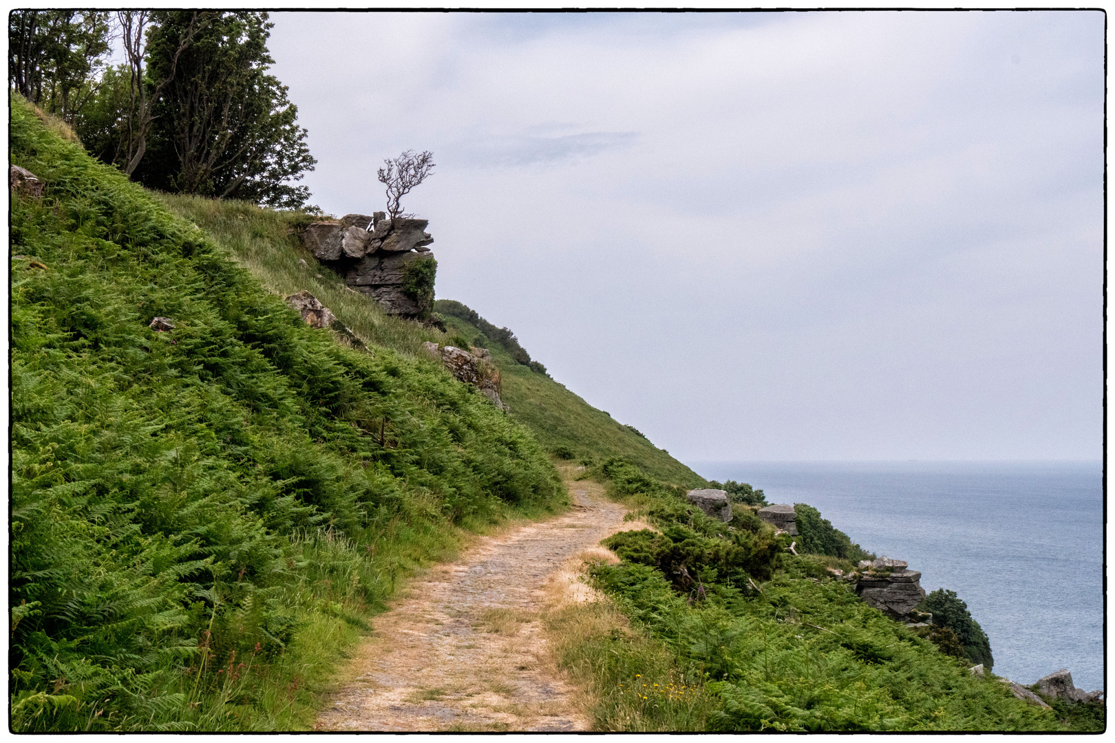 Coast Path