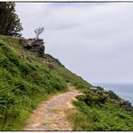 Coast Path