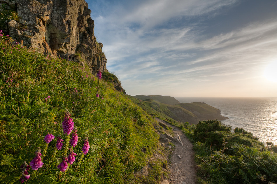 Coast path at Willapark