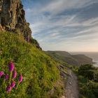 Coast path at Willapark