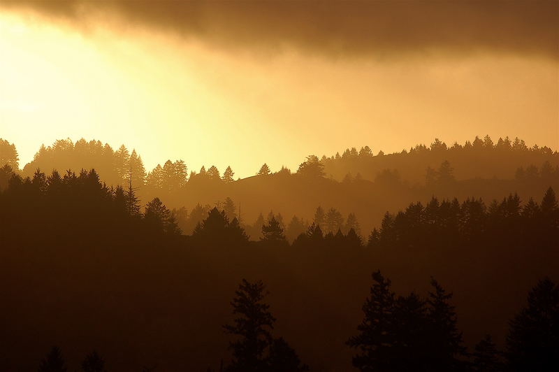 Coast Ranges. California