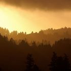 Coast Ranges. California