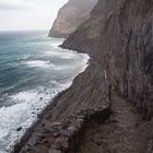 [ … coast trail ]