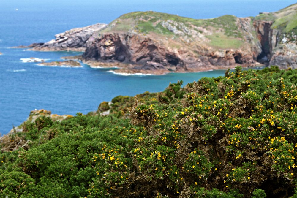 Coastal Footpath