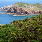 Coastal Footpath