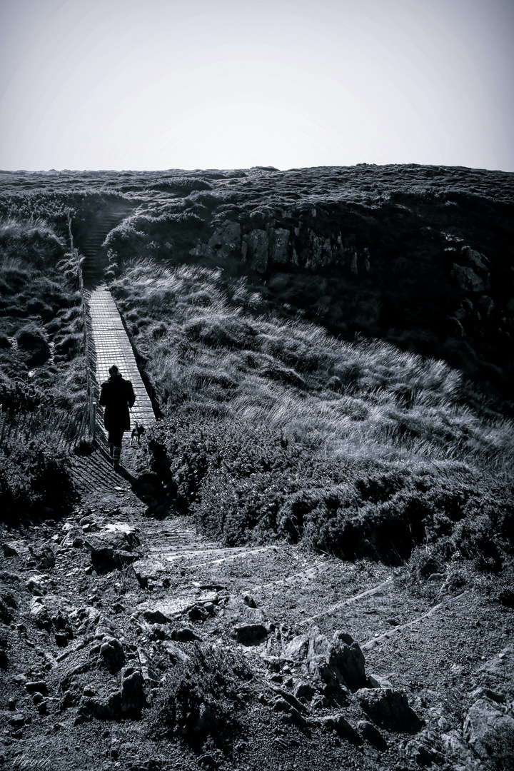 Coastal path