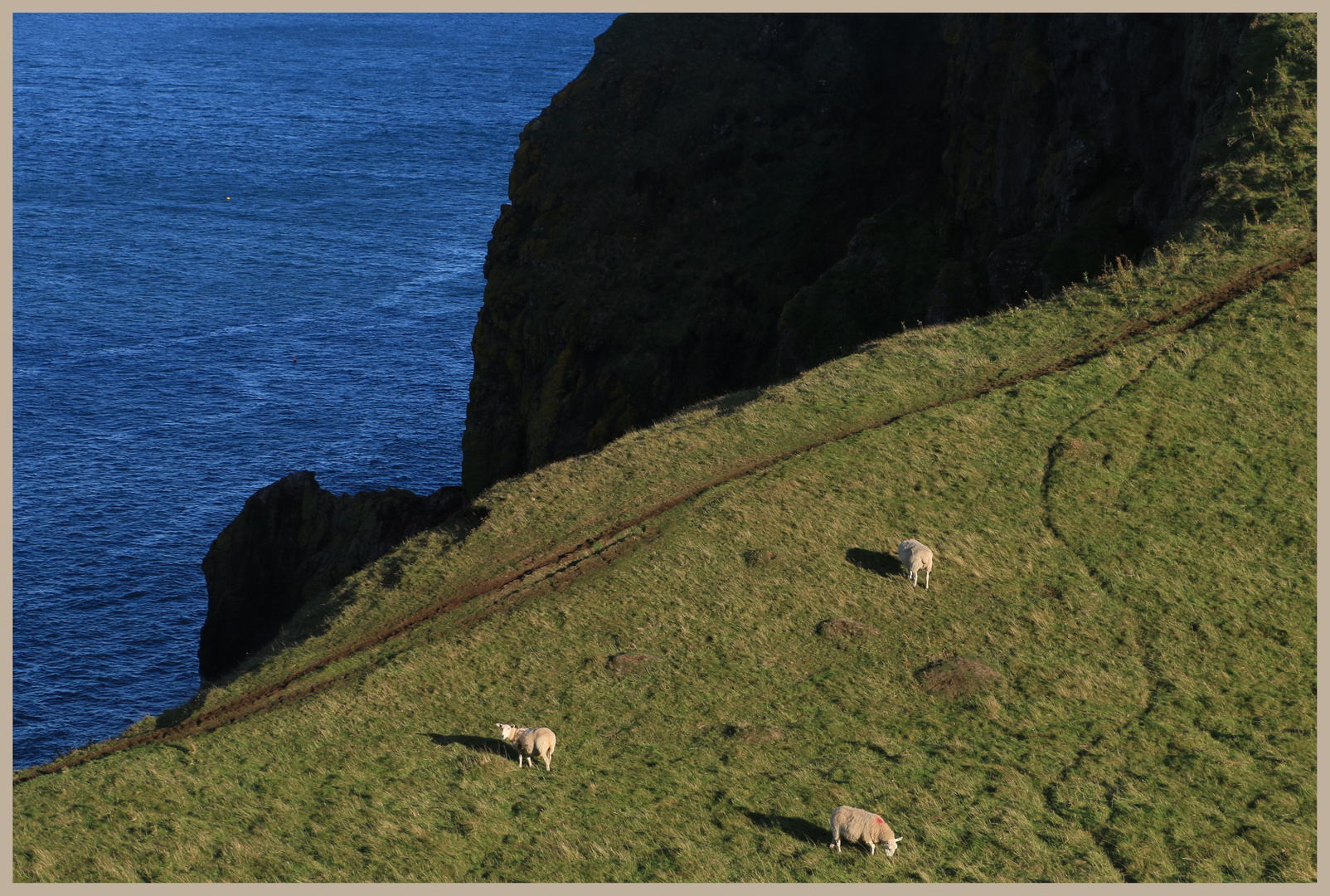 coastal path near St Abbs