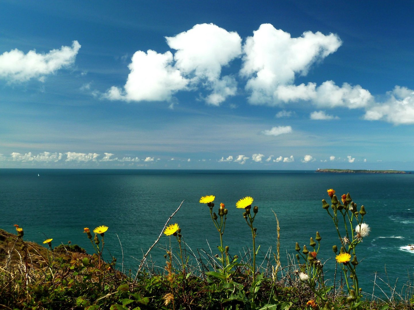 Coastal Path Pembrokeshire