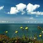 Coastal Path Pembrokeshire