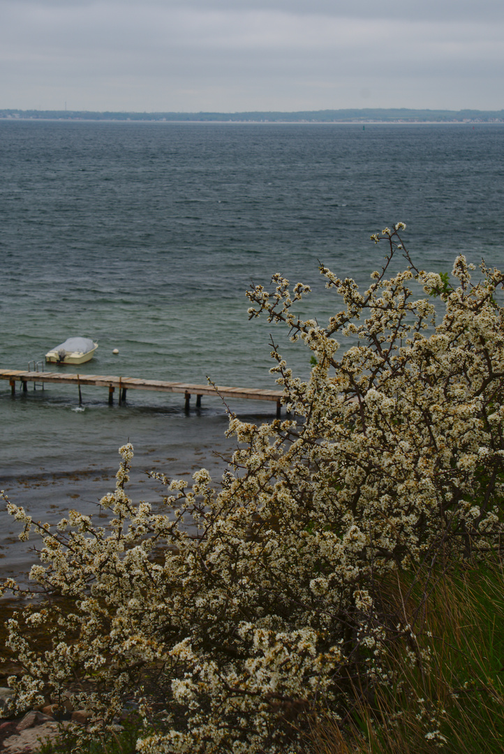 Coastal Pathway near Pelzerhaken Baltic Sea