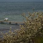 Coastal Pathway near Pelzerhaken Baltic Sea