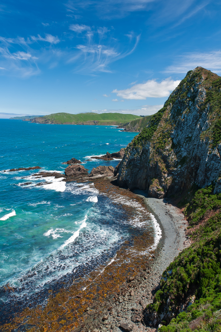 Coastal view at Nugget Point