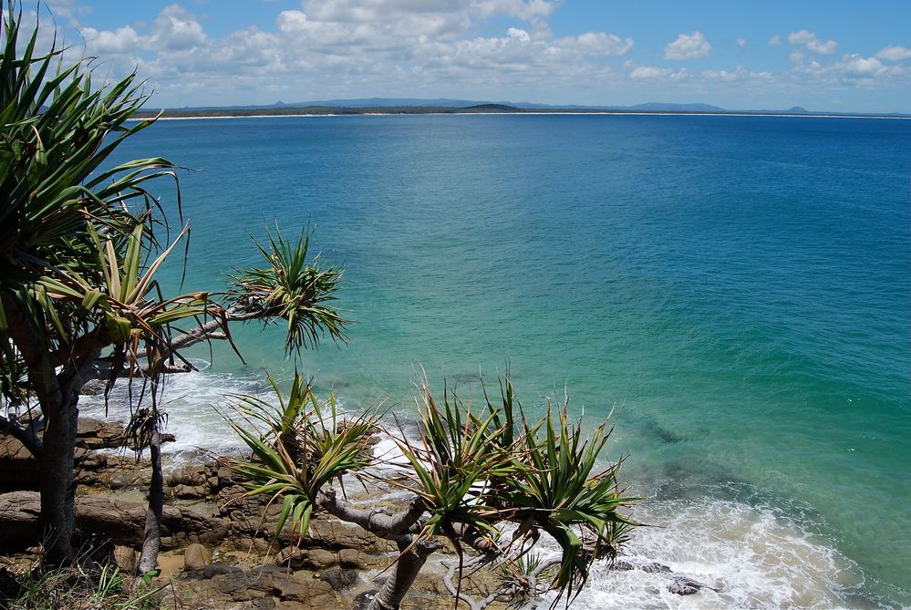 Coastal Walk at Noosa NP