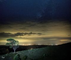 coastline at night