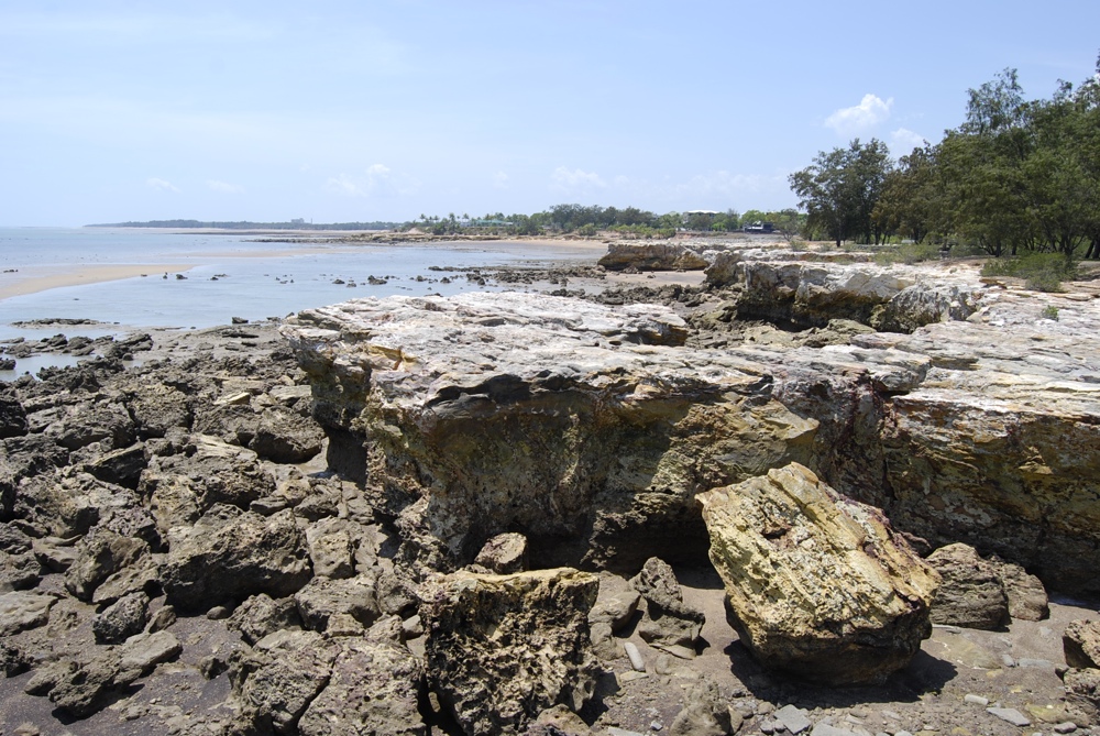 Coastline (Casuarina Drive)