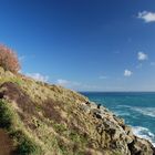 Coastpath am Lizard