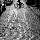 Cobbles and a cyclist