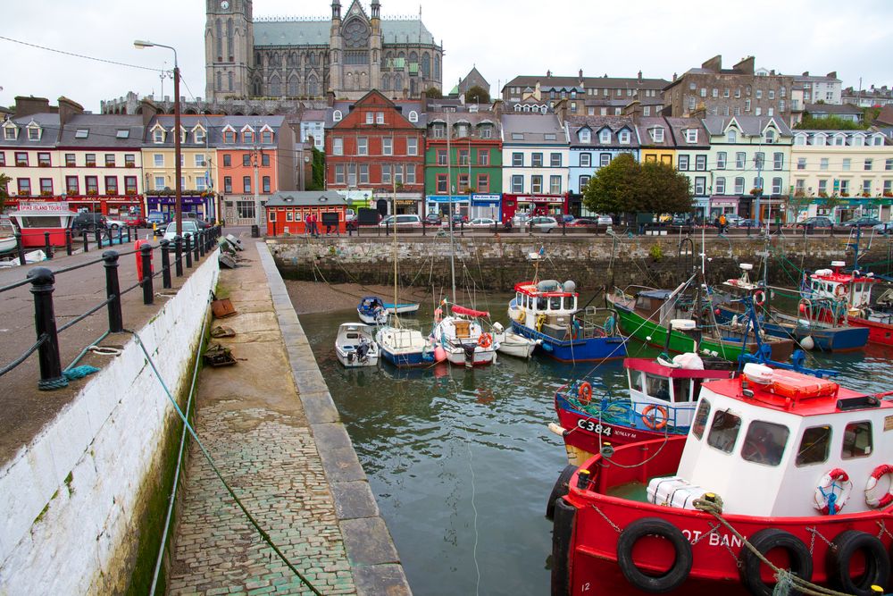 Cobh1