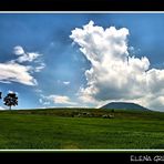 Cobijo con nubes