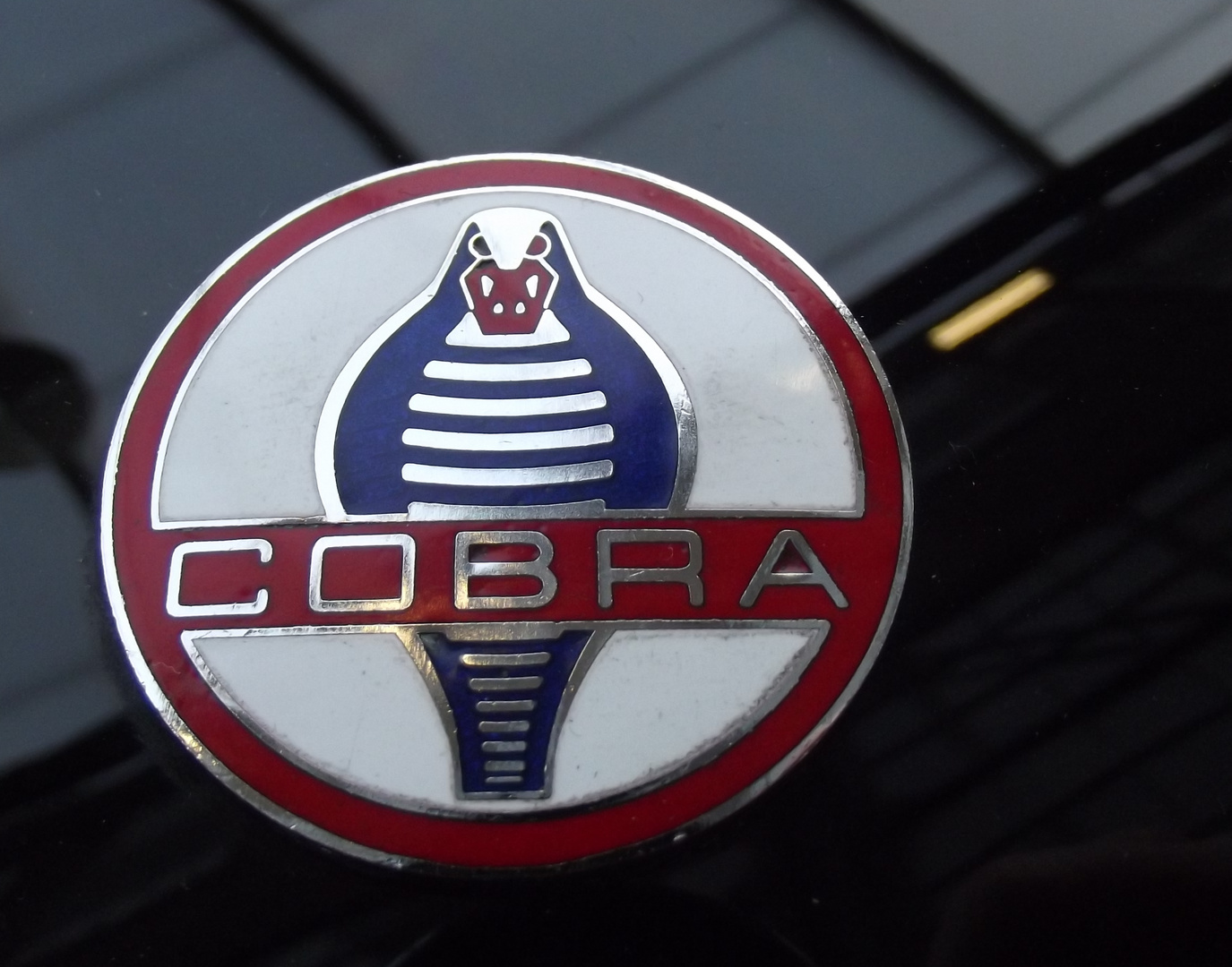 Cobra