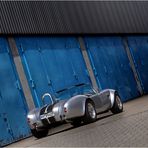 .... Cobra and the blue Doors ....