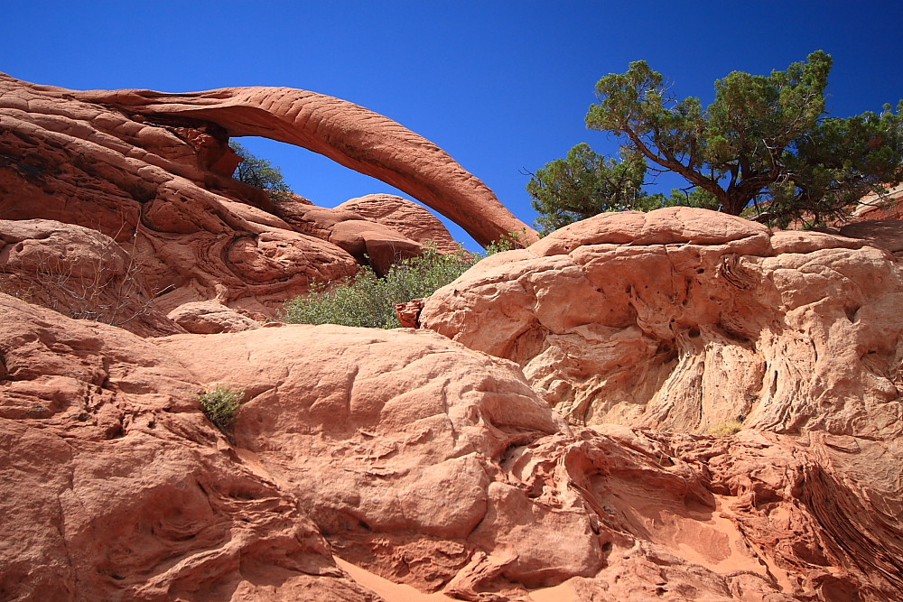 Cobra Arch, Vermilion Cliffs, Arizona