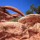 Cobra Arch, Vermilion Cliffs, Arizona