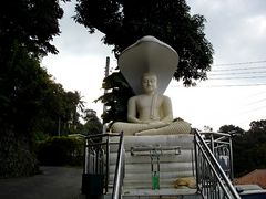 Cobra Buddha