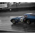 Cobra Coupe, wet race....