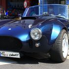 Cobra mit 6 Zylinder